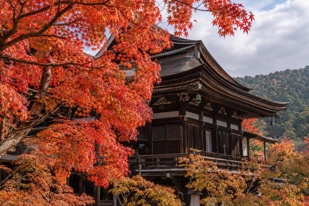 Red maple leaves around a temple
