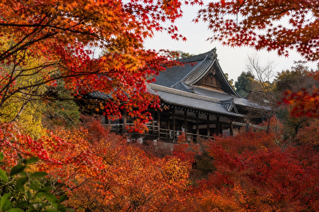 Red maple leaves around a temple