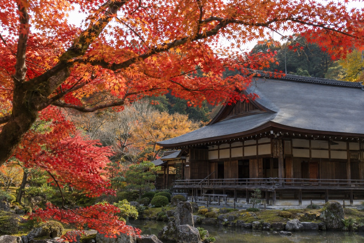 Red maple leaves around a temple