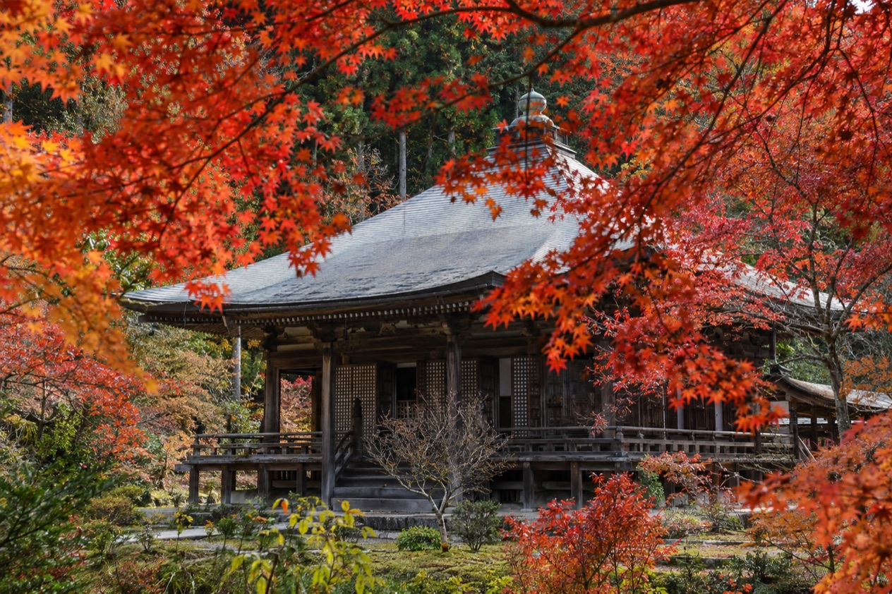 Red maple leaves around a temple