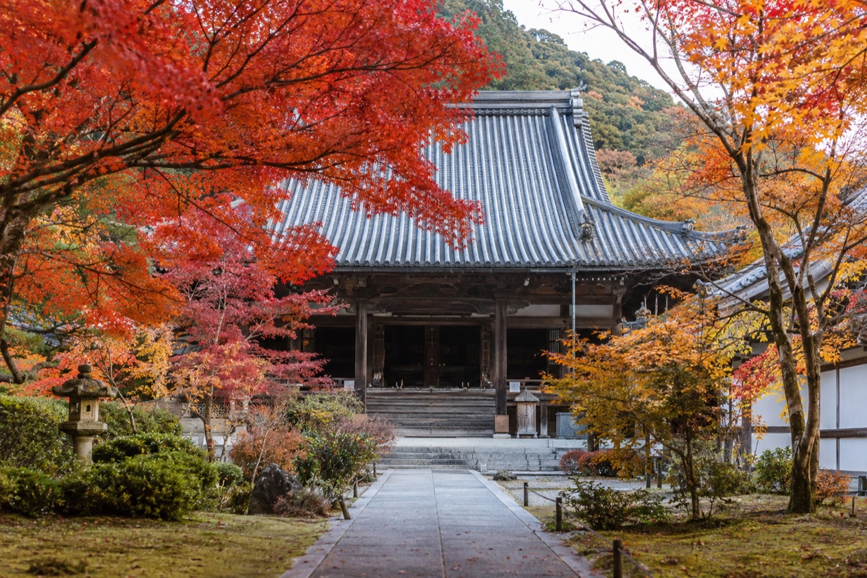 Red maple leaves around a temple