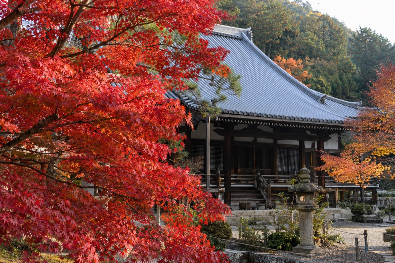 Red maple leaves around a temple
