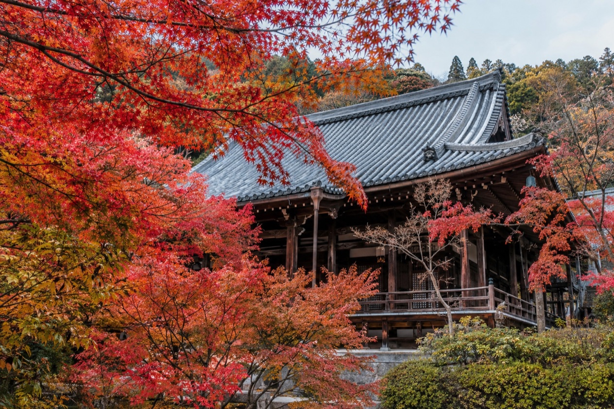 Red maple leaves around a temple