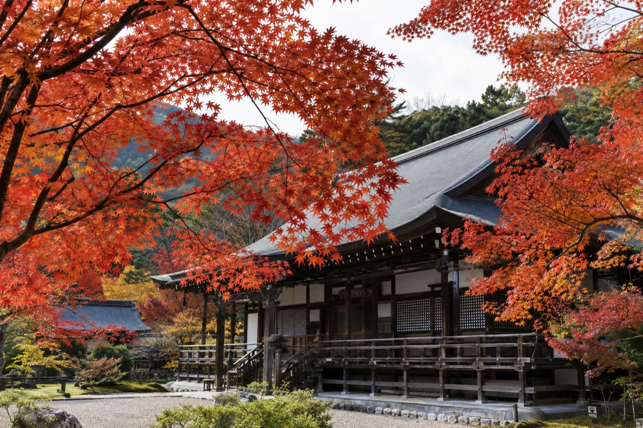 Red maple leaves around a temple