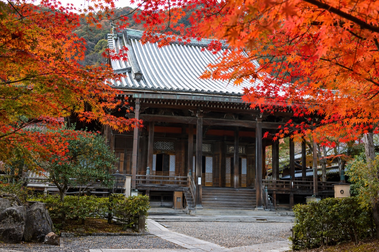 Red maple leaves around a temple