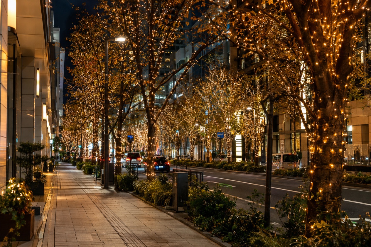 Christmas lights in Japan
