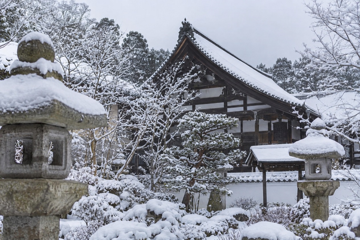 A garden in the snow