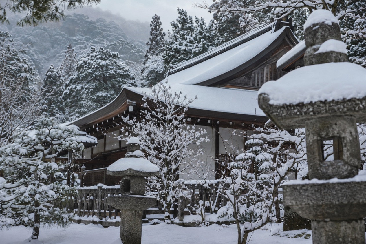 A garden in the snow