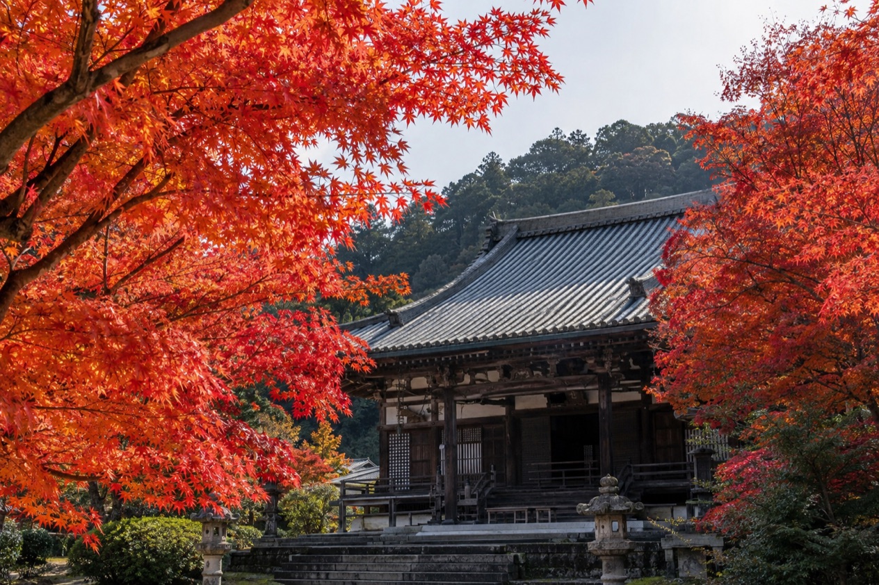 Red maple leaves around a temple