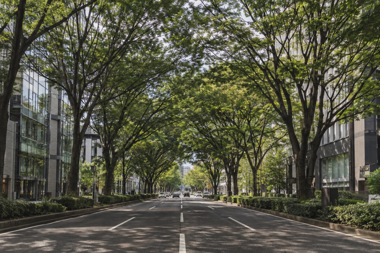 A tree-lined avenue in Sendai