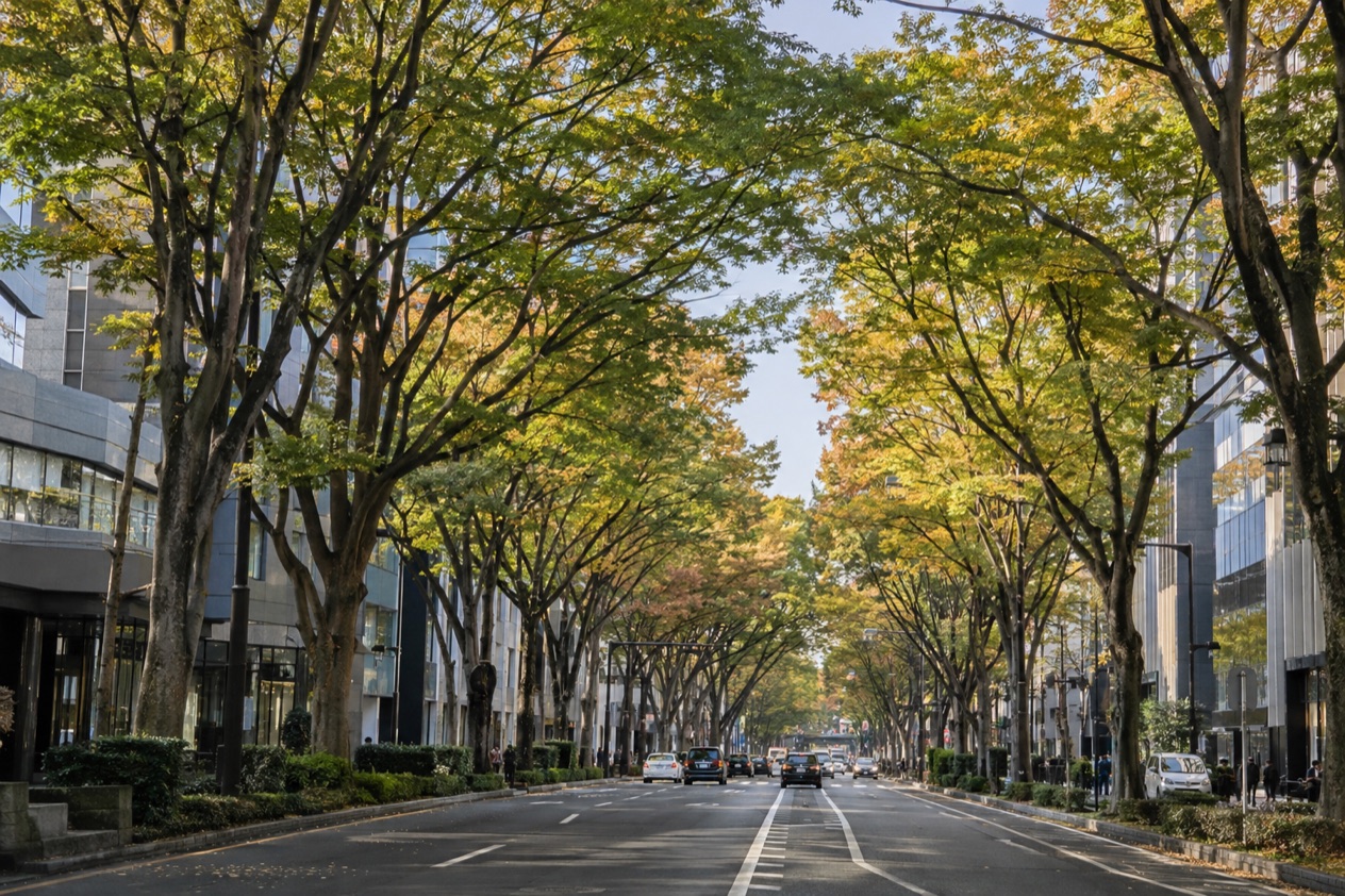 A tree-lined avenue in Sendai