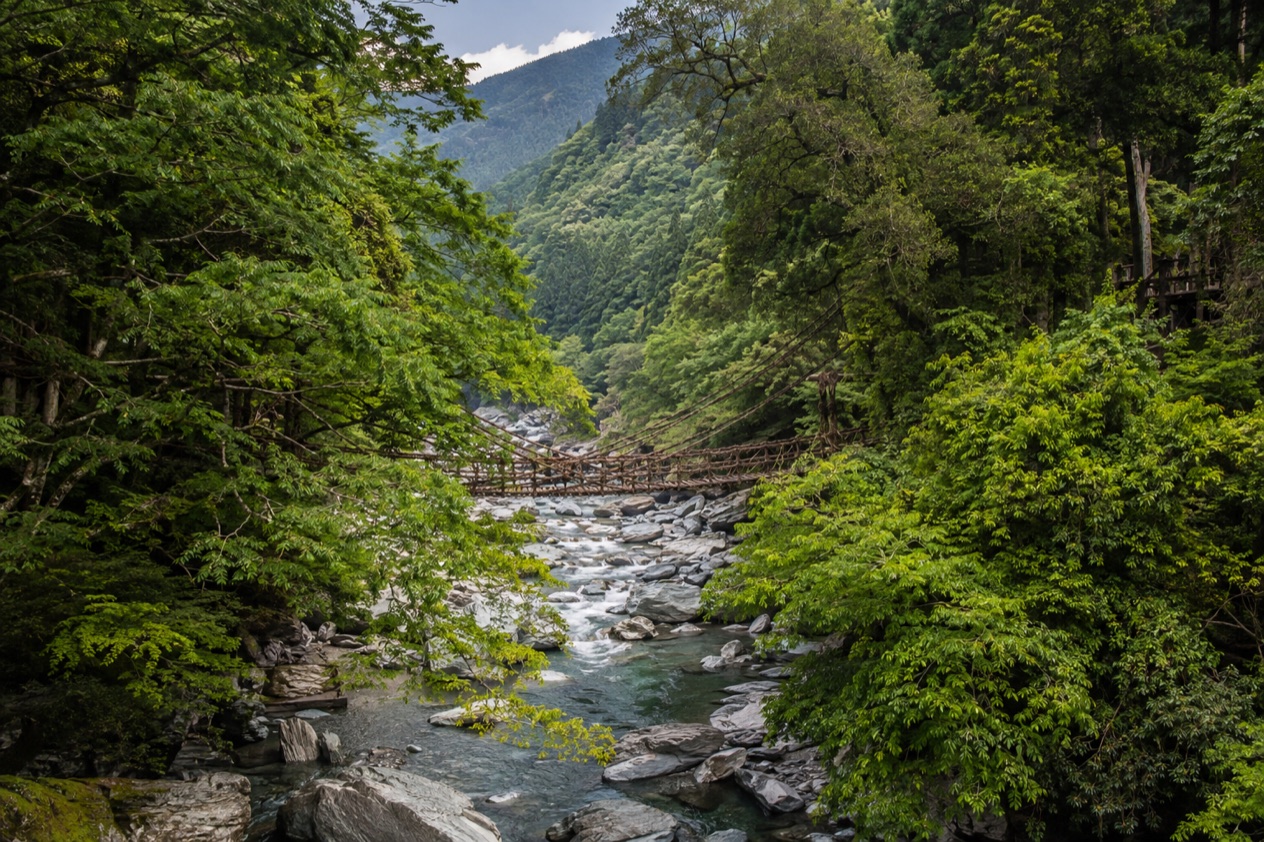 The Iya Valley in Shikoku
