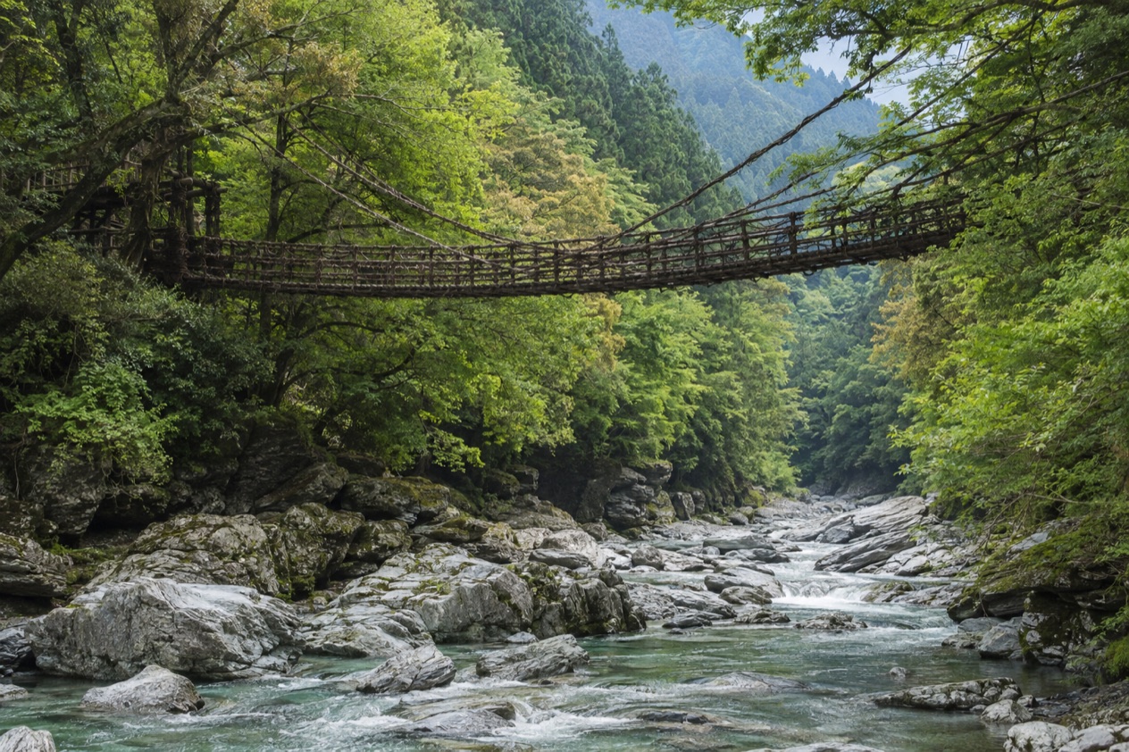The Iya Valley in Shikoku