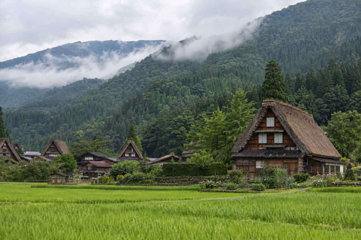 Thatched houses in Shirakawa-go