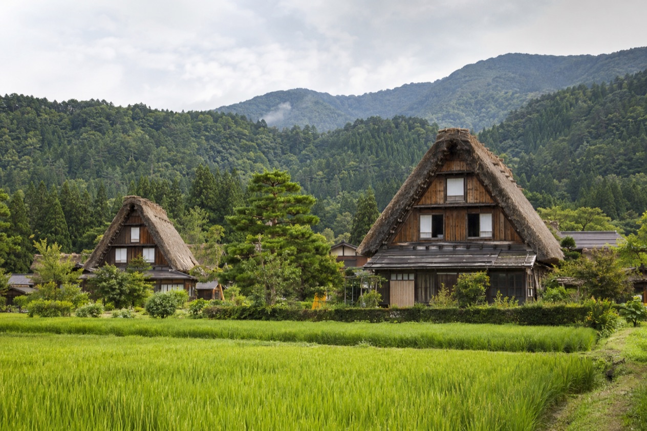Thatched houses in Shirakawa-go