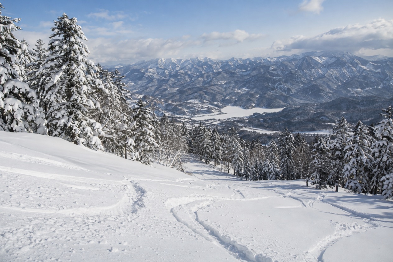 Powder snow in Japan