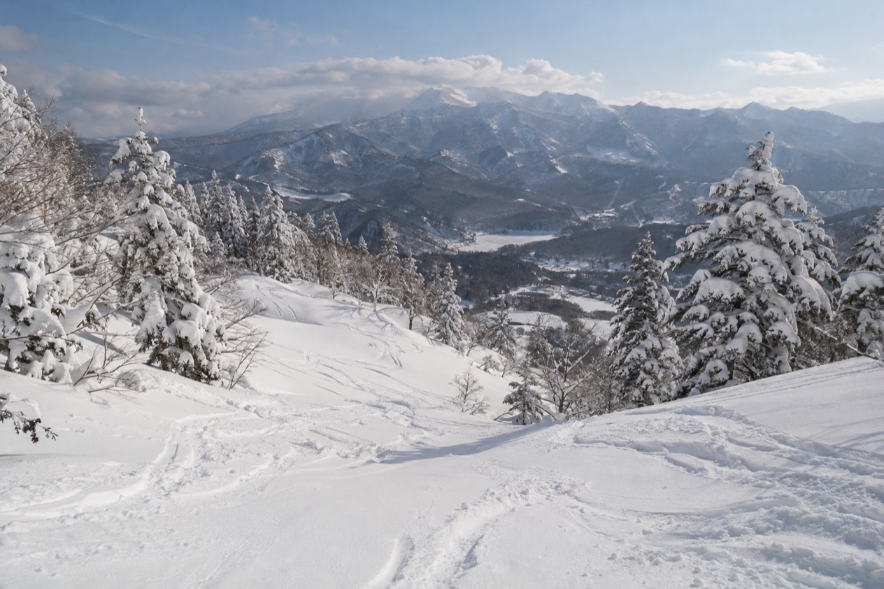 Powder snow in Japan