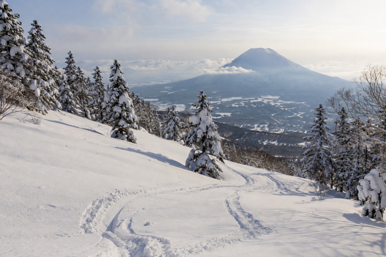 Powder snow in Japan