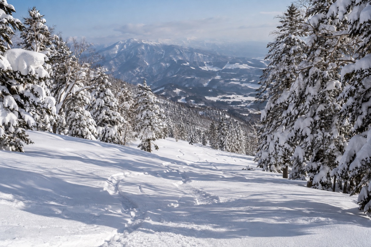 Powder snow in Japan