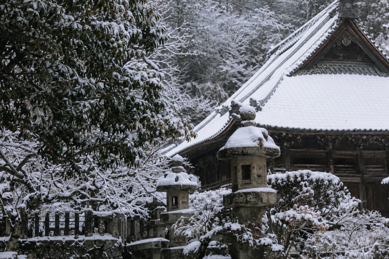A garden in the snow