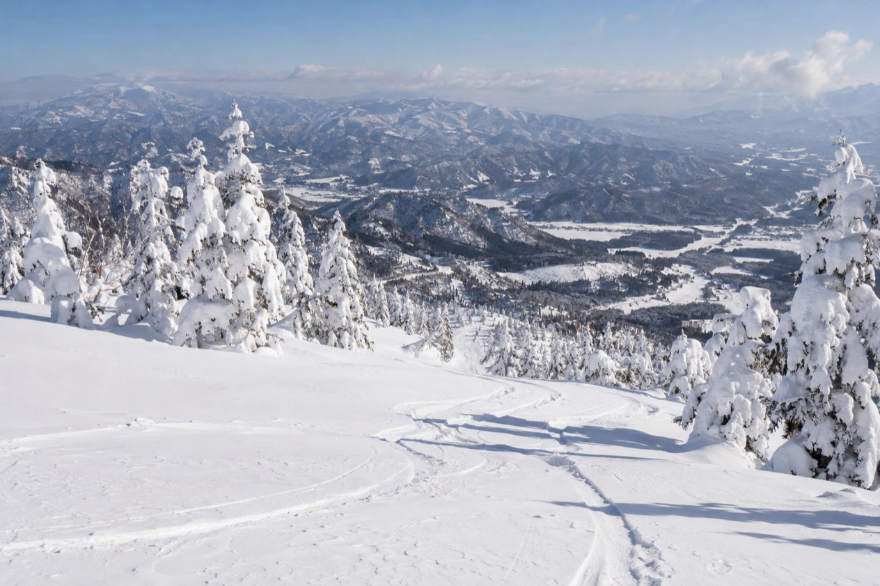 Powder snow in Japan