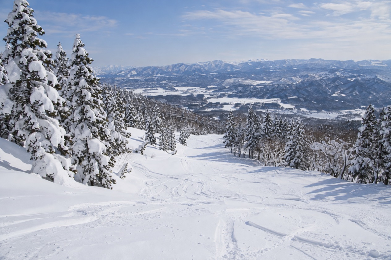 Powder snow in Japan
