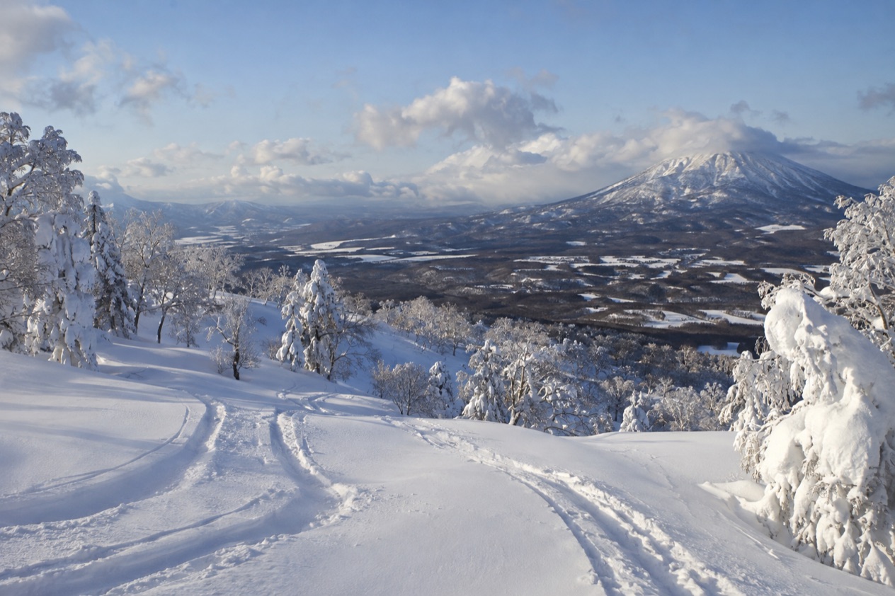 Powder snow in Japan