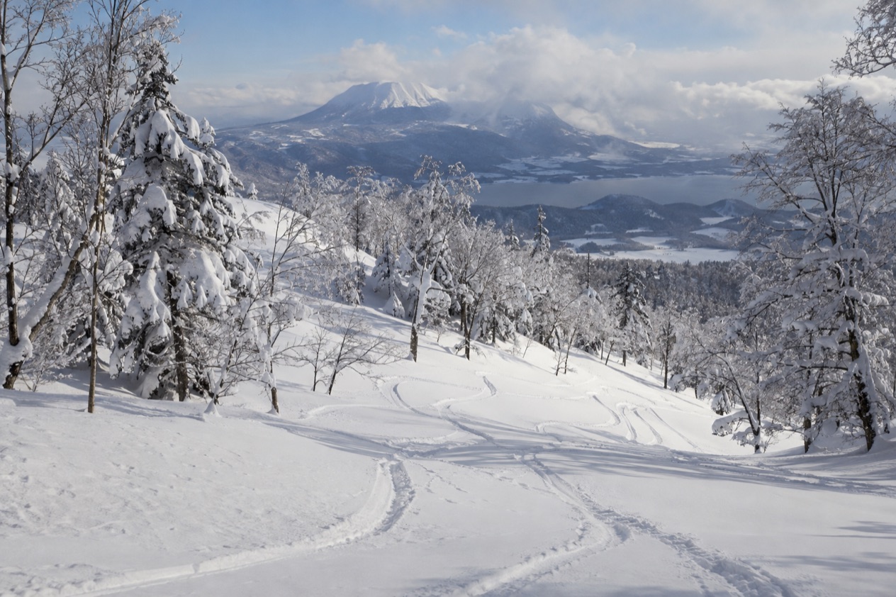Powder snow in Japan