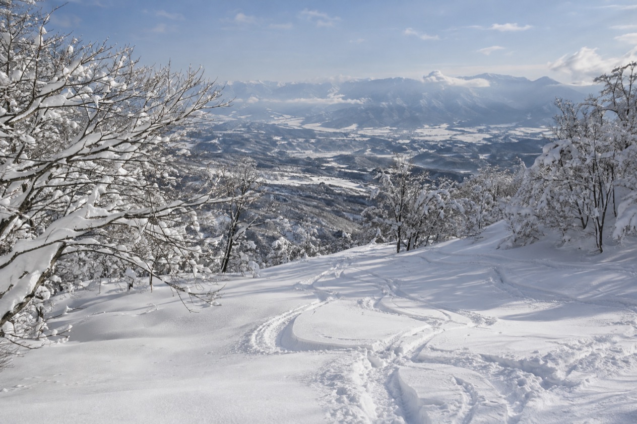 Powder snow in Japan