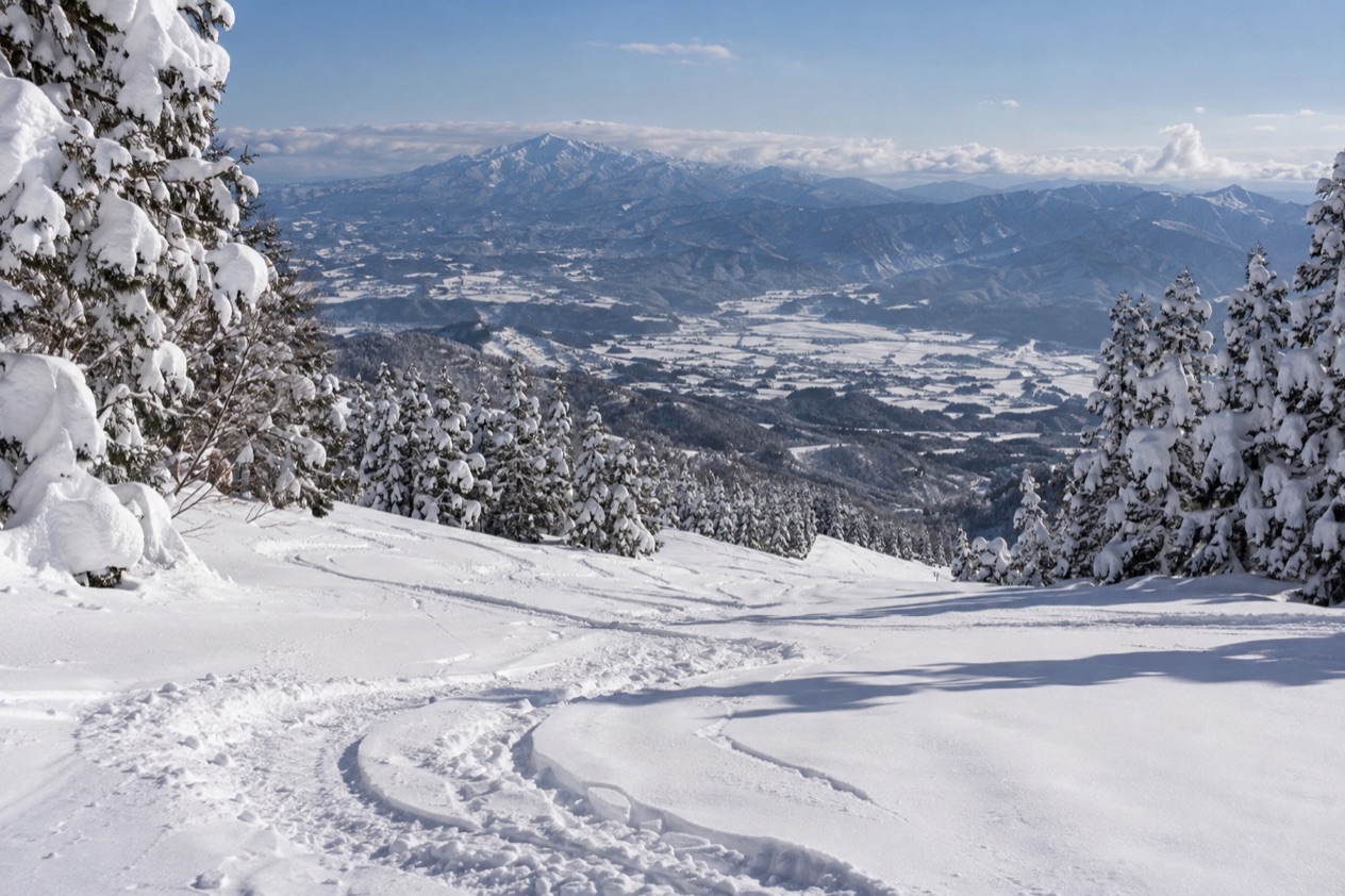 Powder snow in Japan