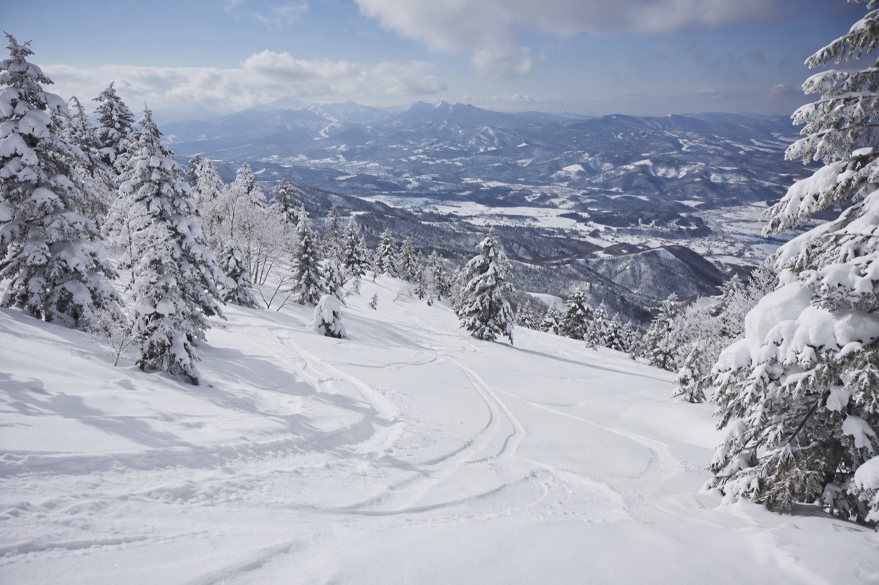 Powder snow in Japan