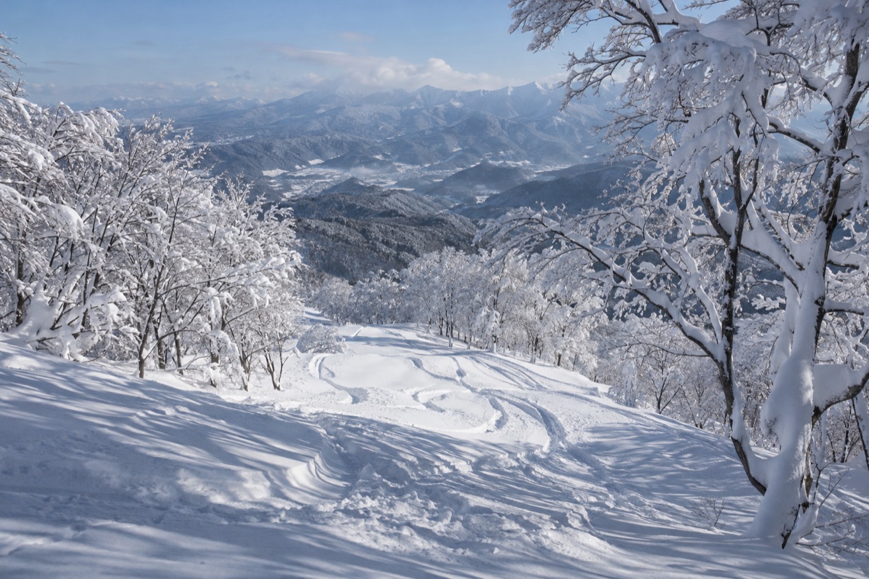Powder snow in Japan
