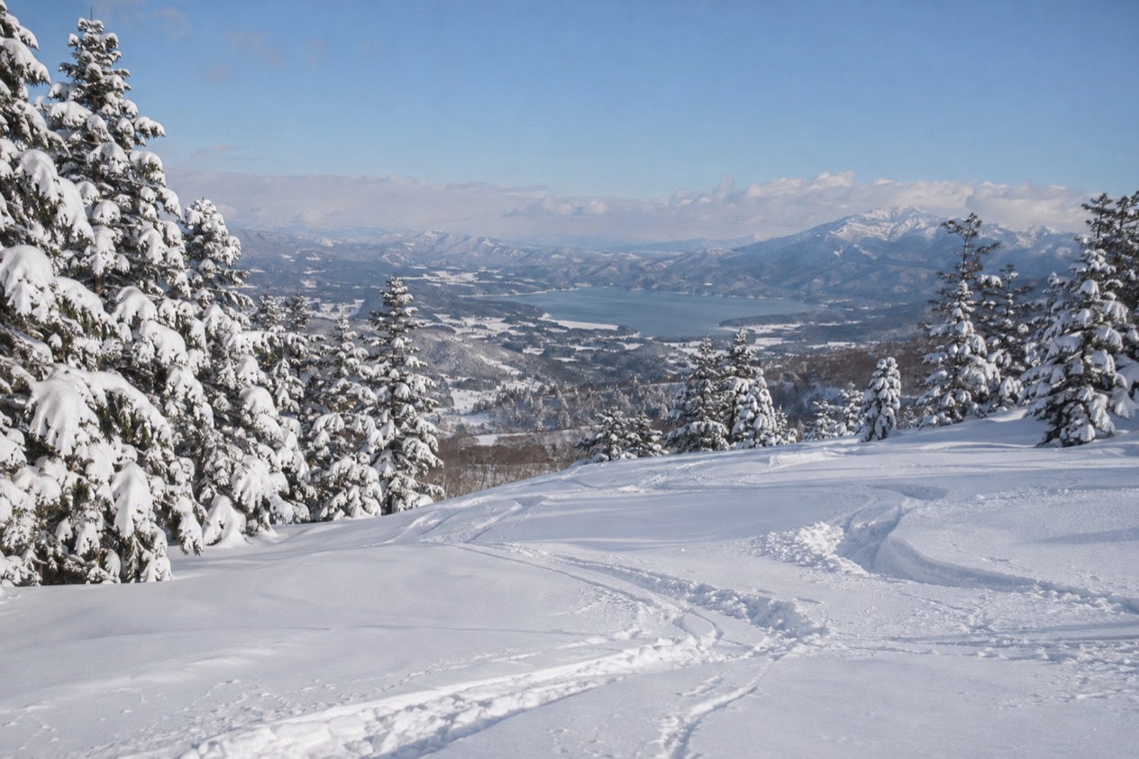 Powder snow in Japan