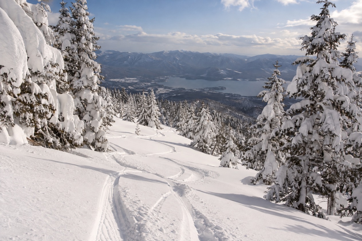 Powder snow in Japan