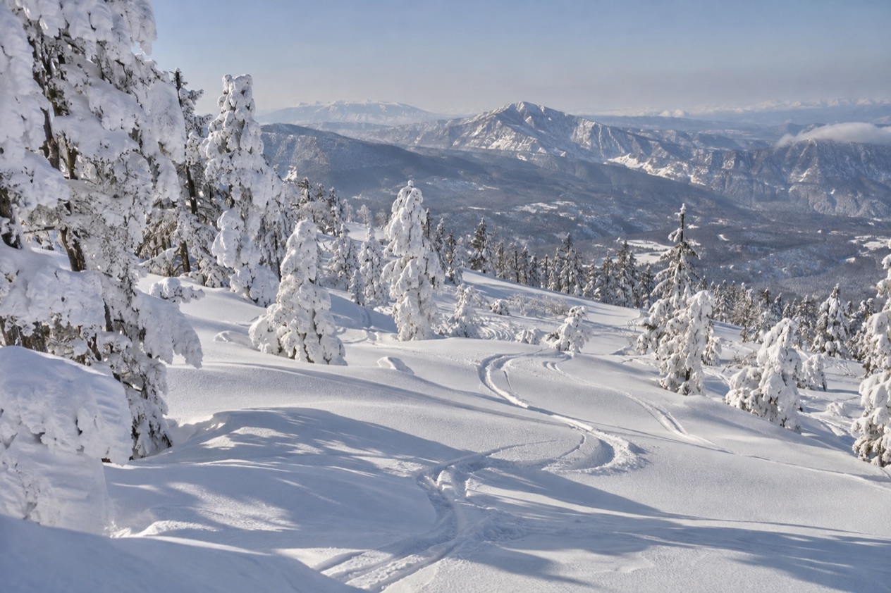Powder snow in Japan