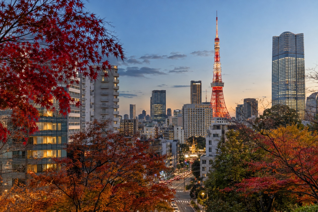 The Tokyo skyline in autumn