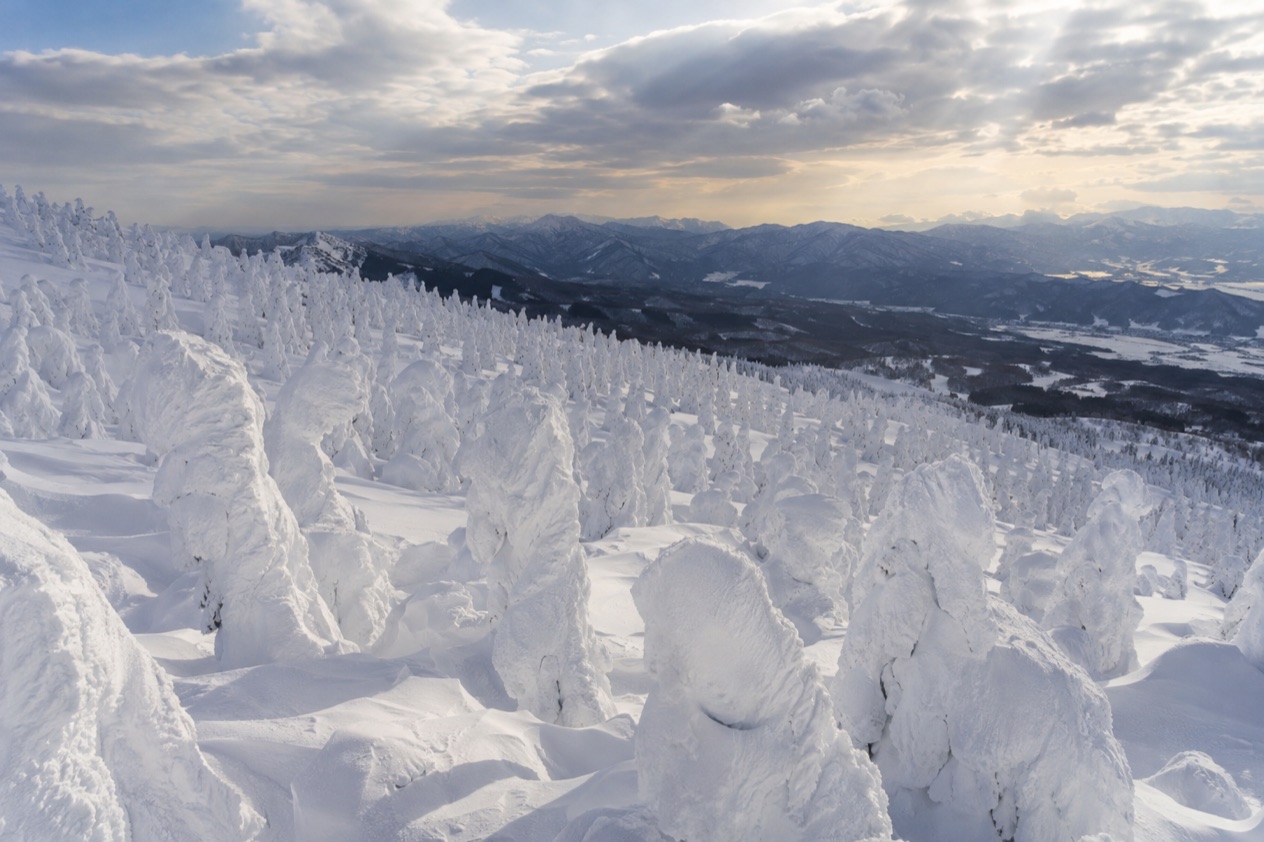 Zao Snow Monsters