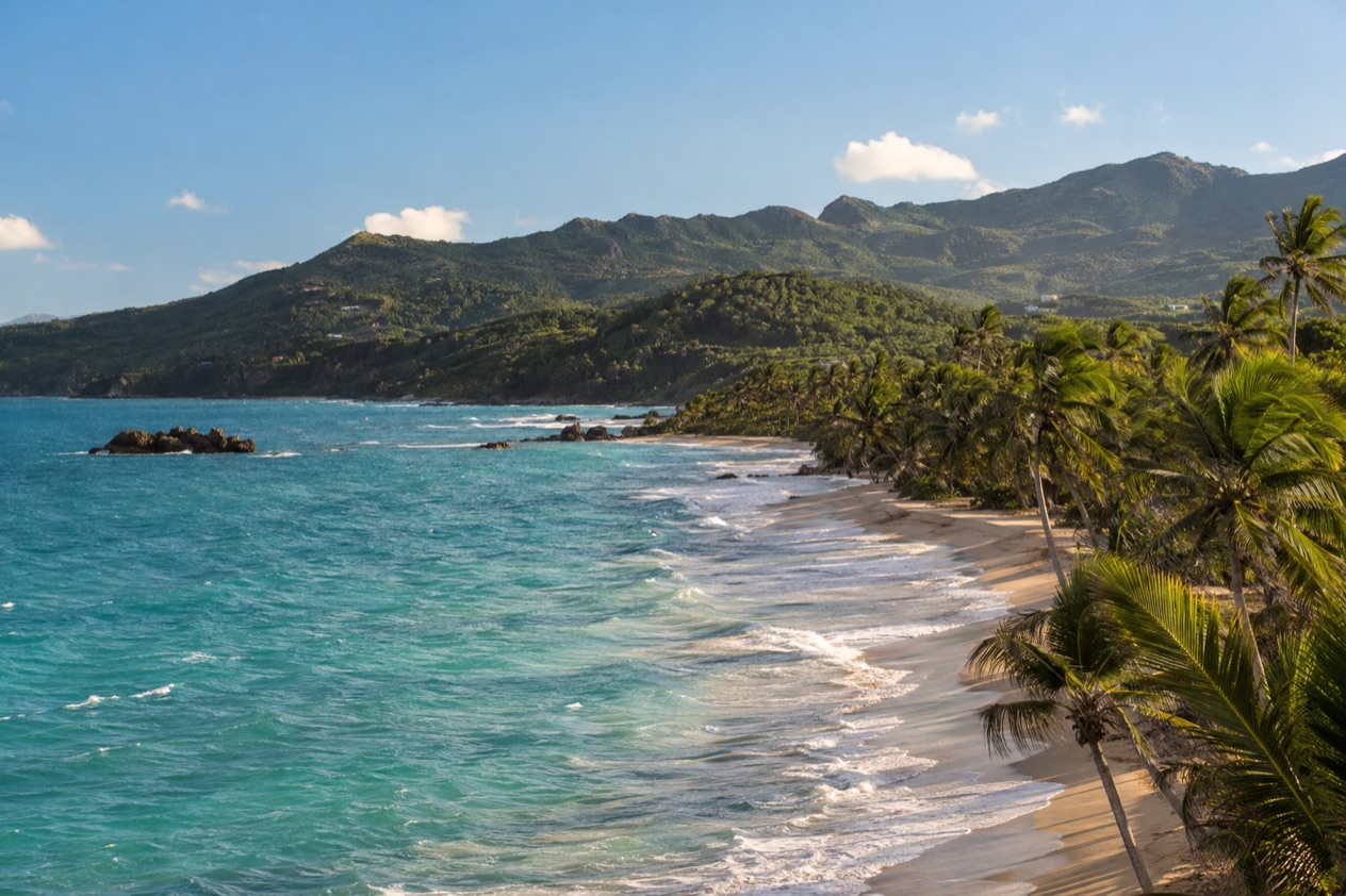 A palm-lined beach on the Puerto Rican coast in the drier season