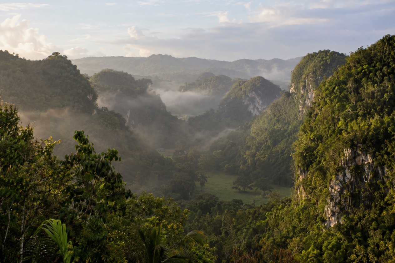 Green karst hills near Arecibo