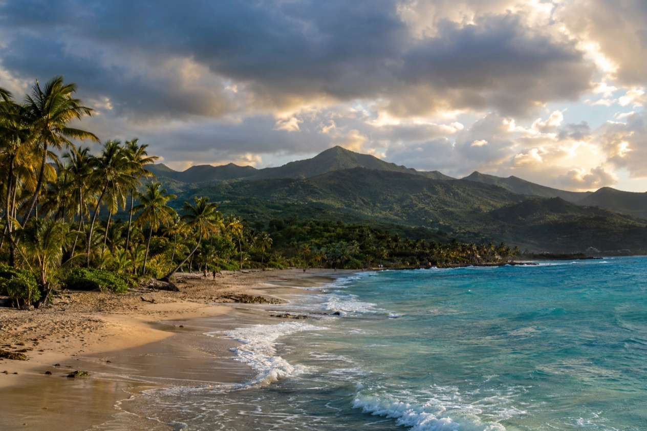 A palm-lined beach on the Puerto Rican coast in the wetter months