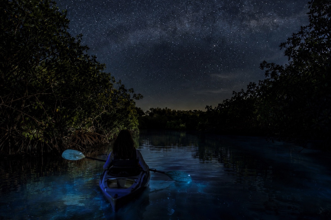 A kayak on a bioluminescent bay at night