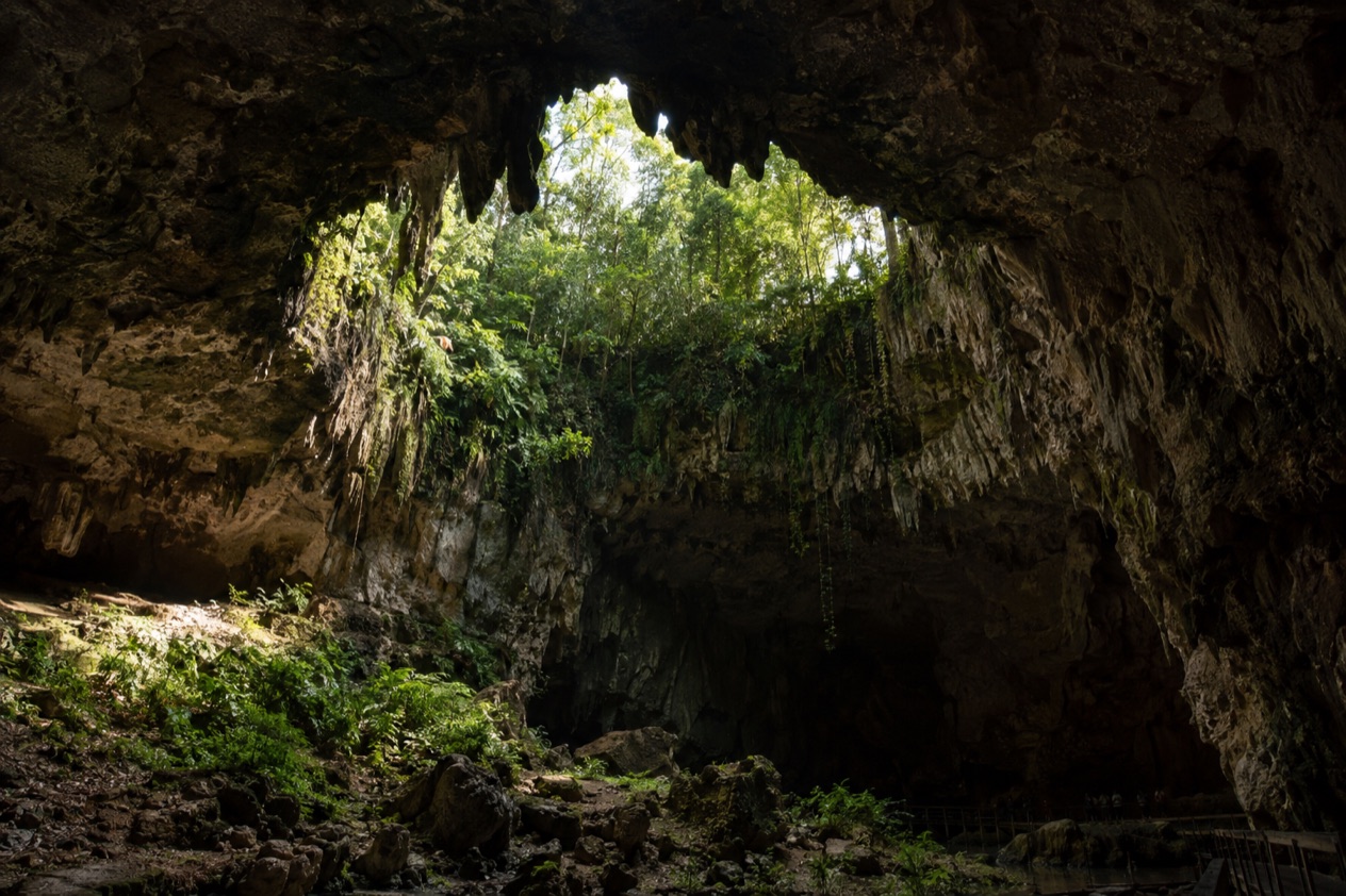 A cave entrance in the Camuy karst