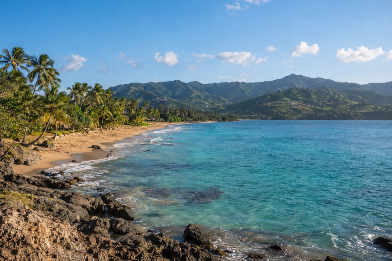 A palm-lined beach on the Puerto Rican coast in the drier season