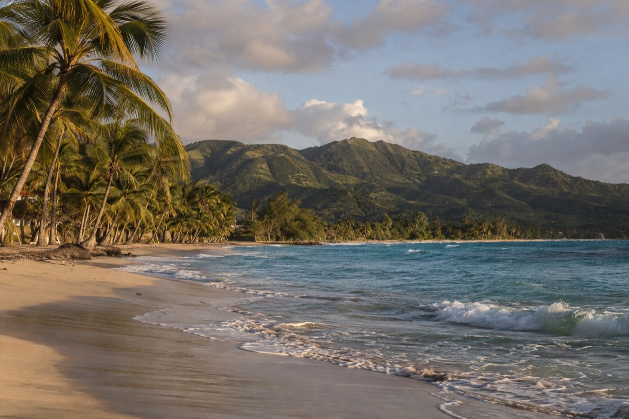 A palm-lined beach on the Puerto Rican coast