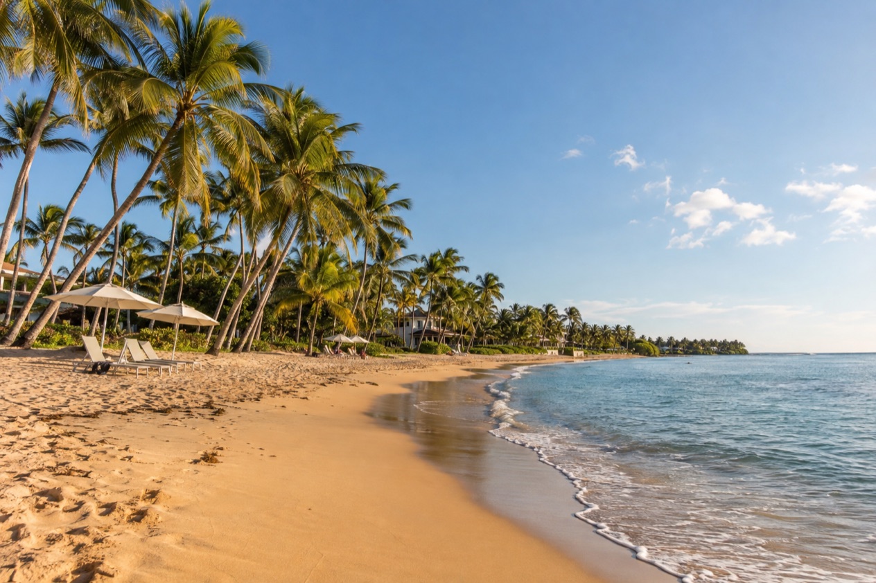 A beach at Dorado in the drier season