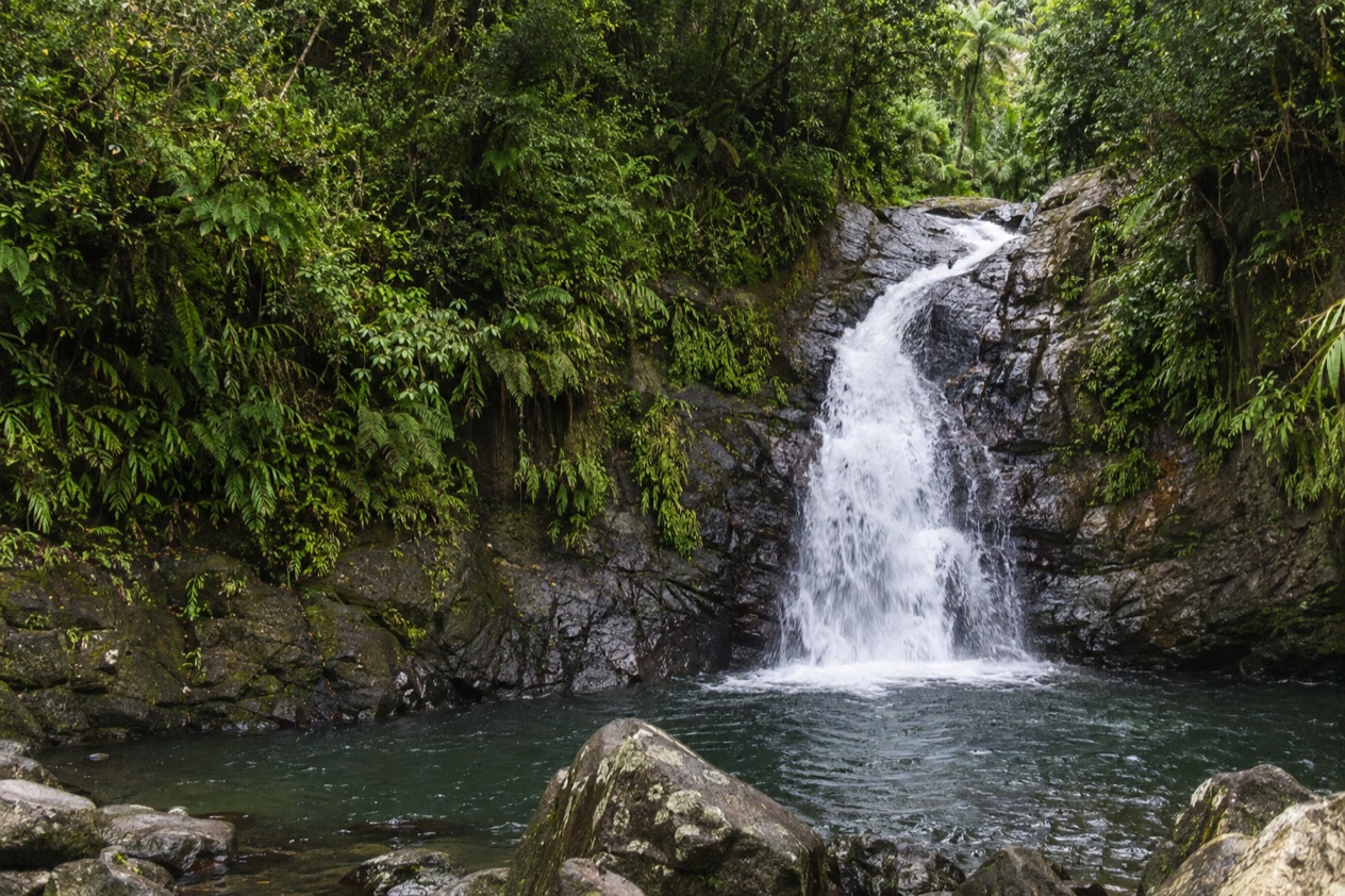 A waterfall in the El Yunque rainforest