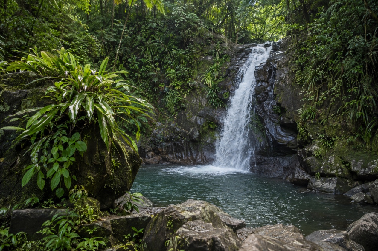 A waterfall in the El Yunque rainforest