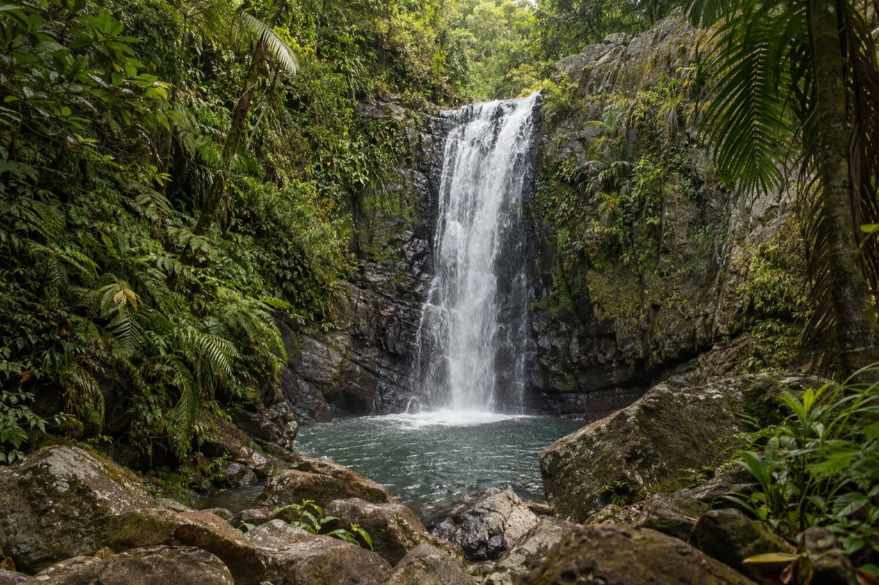 A waterfall in the El Yunque rainforest