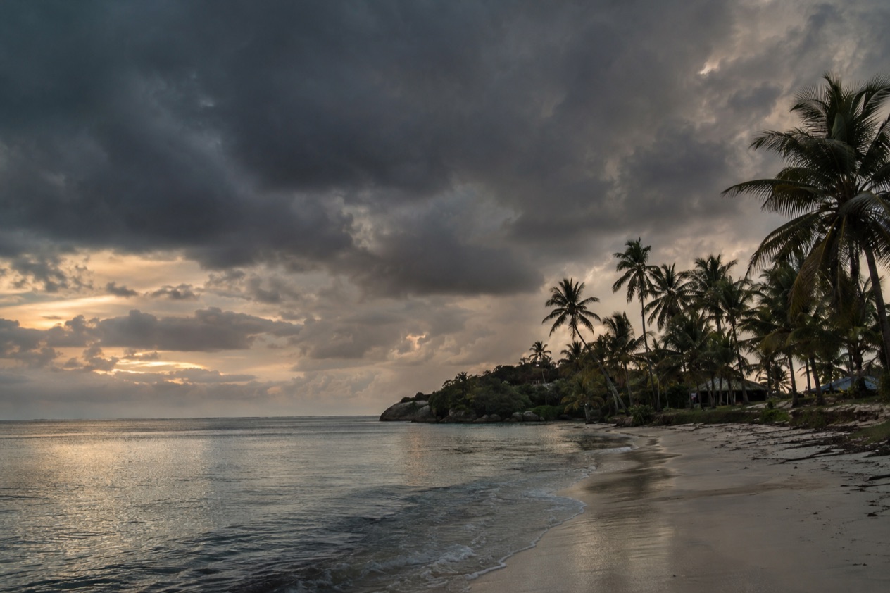A tropical beach under a heavy sky