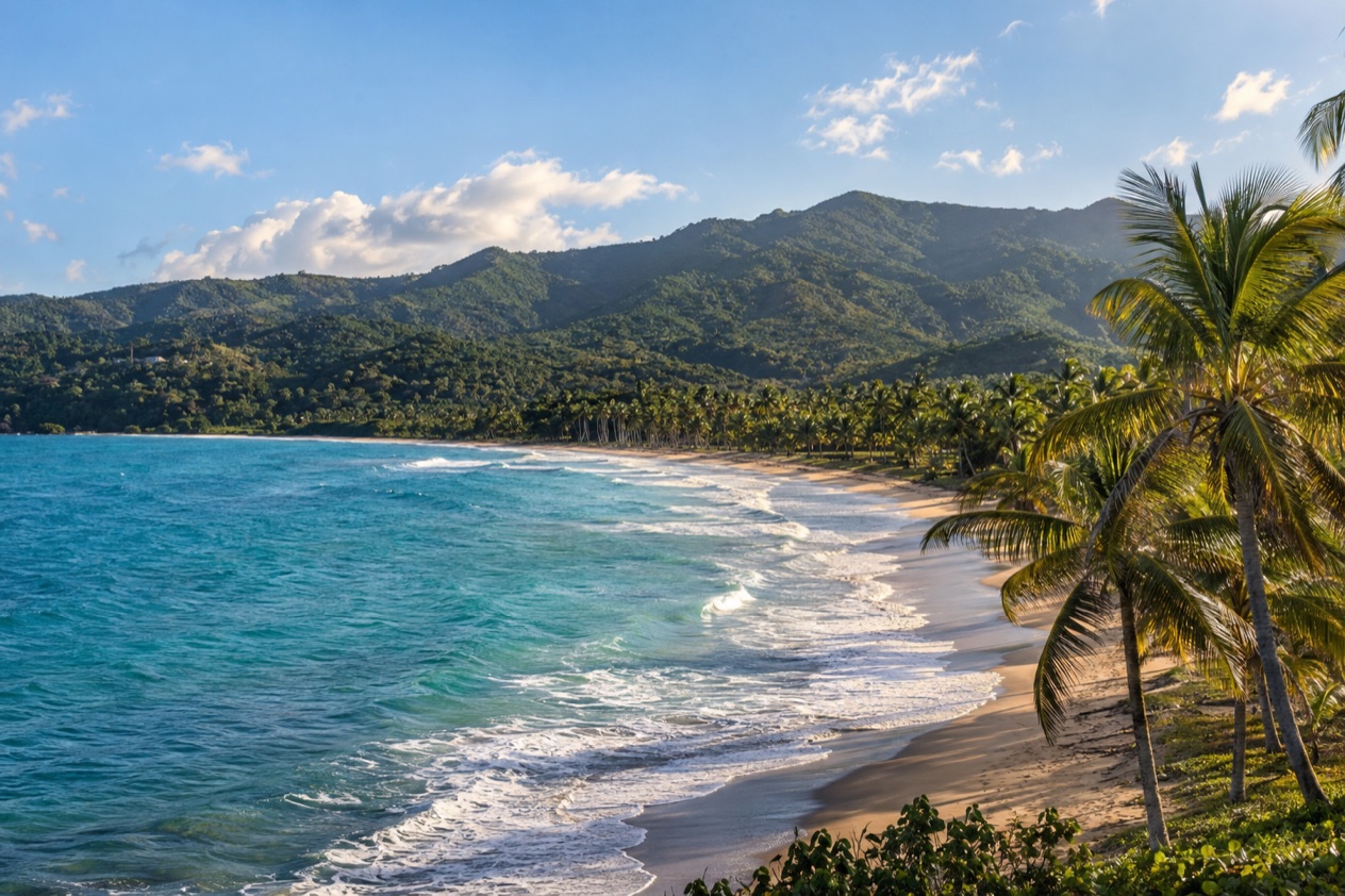 A palm-lined beach on the Puerto Rican coast in the drier season